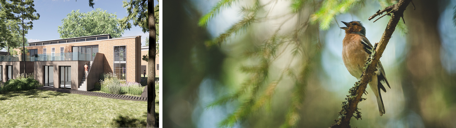 Header