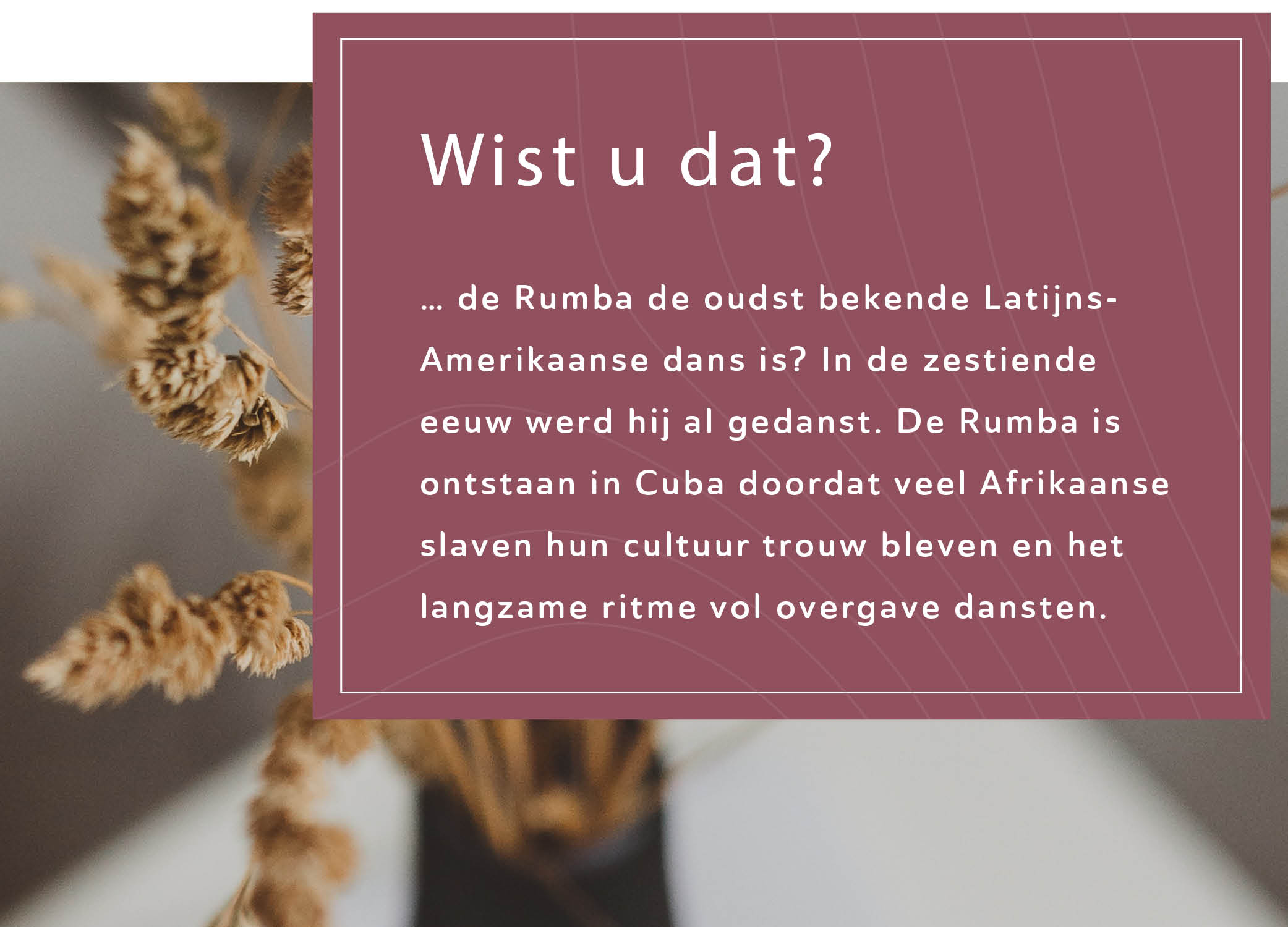 Rumba Residence Amstelveen