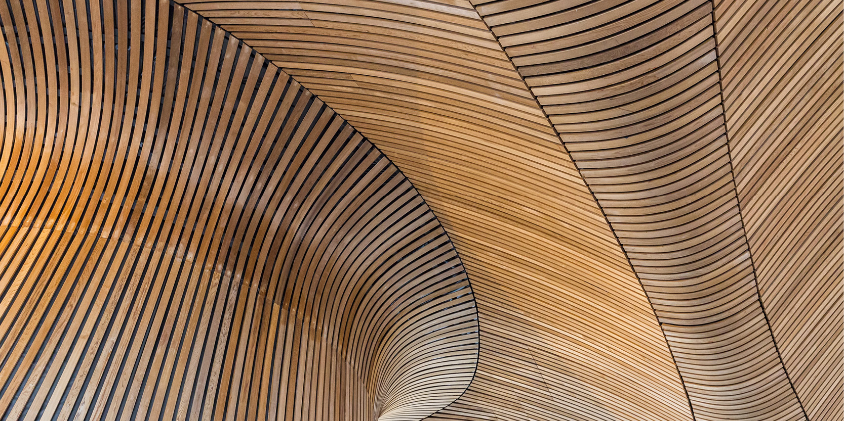 Hout